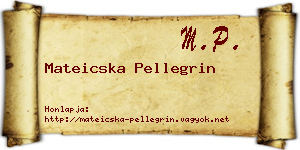 Mateicska Pellegrin névjegykártya